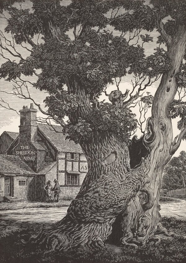 Joan Hassall image 3