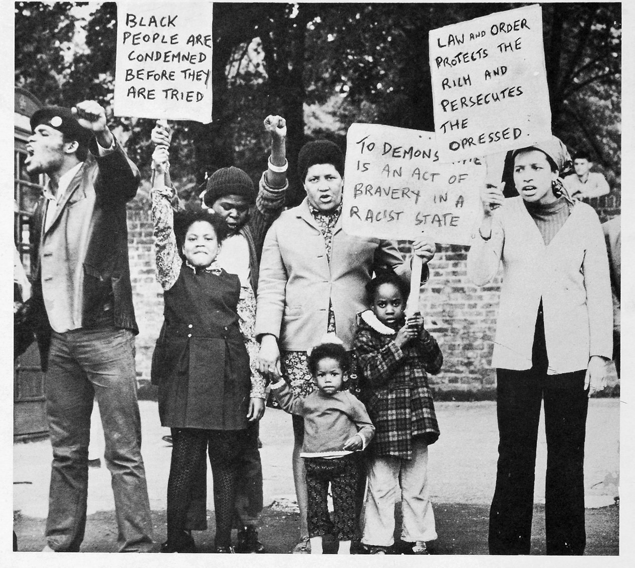 Mangrove Nine image 2